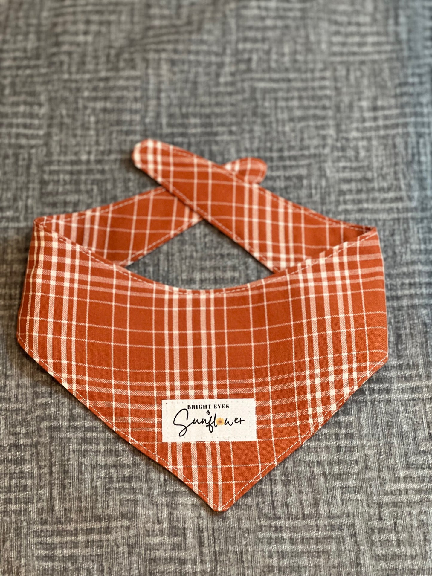 Cozy Cabin Plaid (Rust) Tie Doggy Bandana