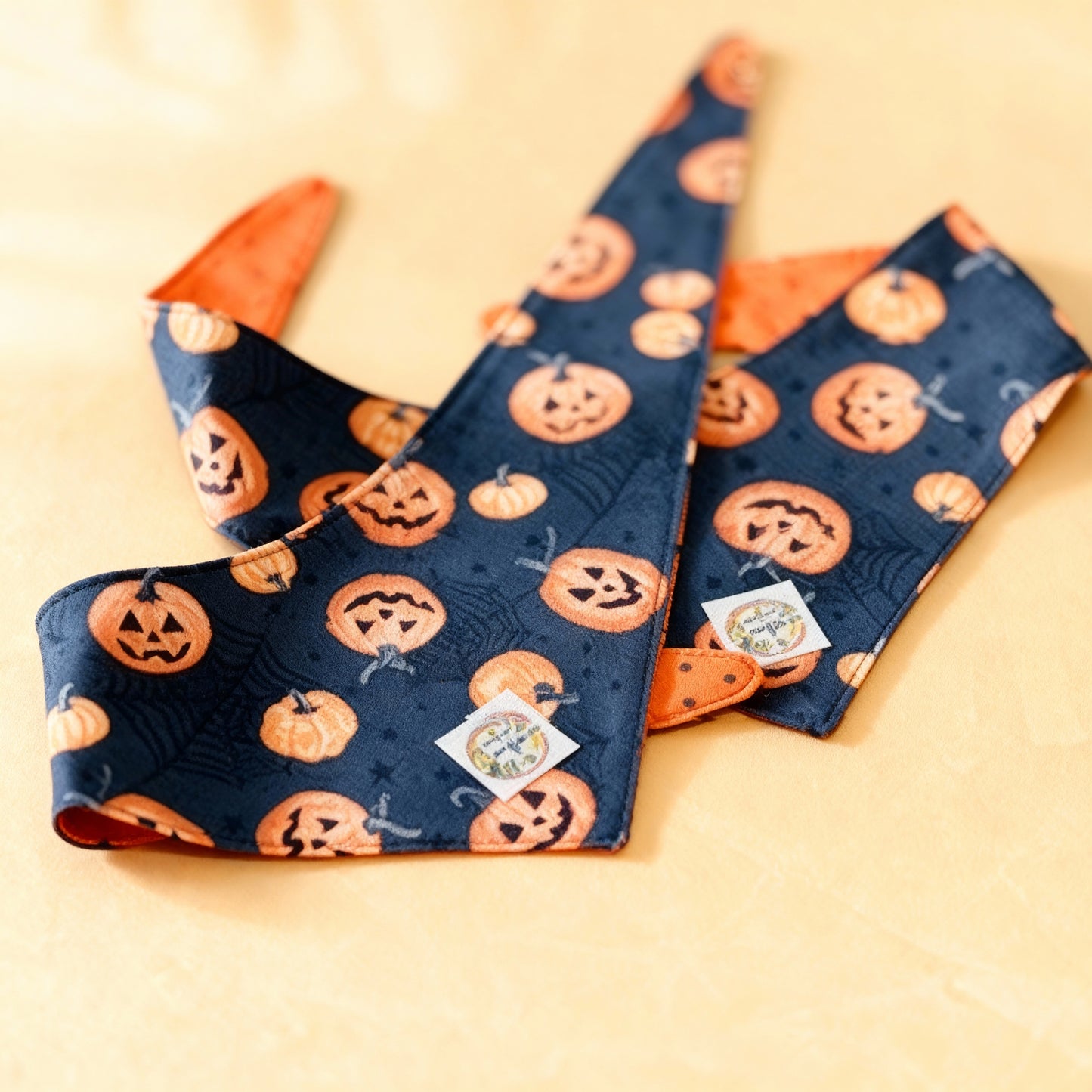 Cobweb Pumpkin Tie Doggy Bandana