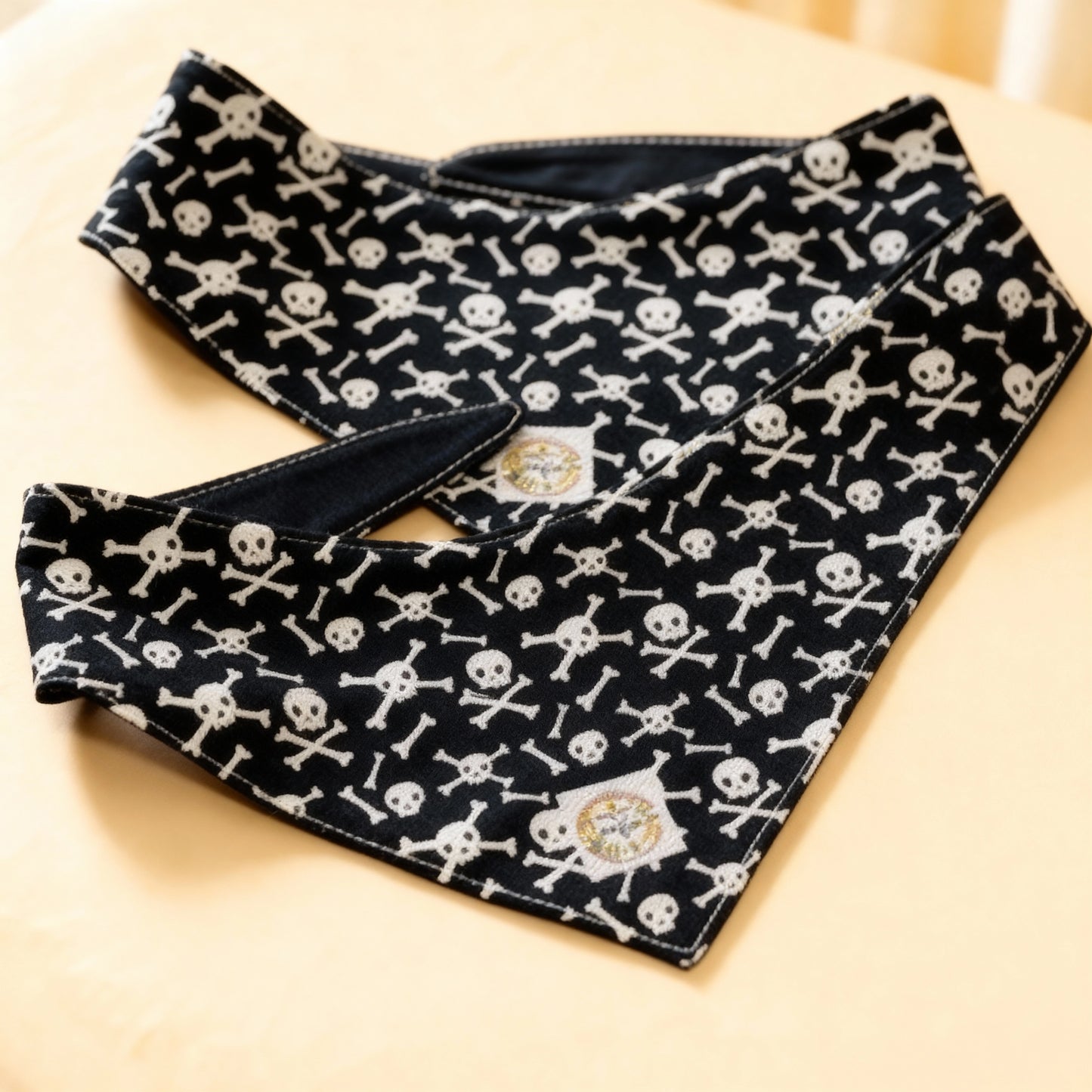 Skull & Bones Tie Doggy Bandana
