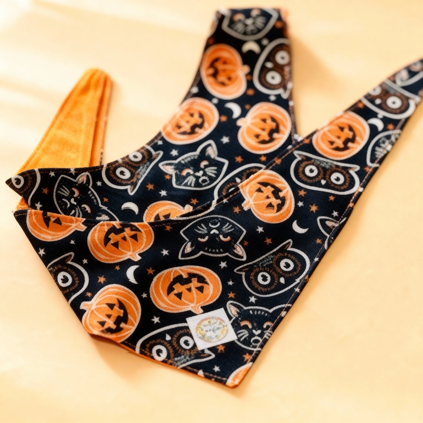 "My Mind's Eye" Hey Pumpkin Tie Doggy Bandana