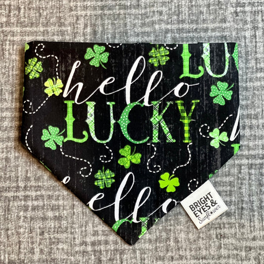 St. Patrick's Day Green Plaid Hello Lucky Doggy Bandana