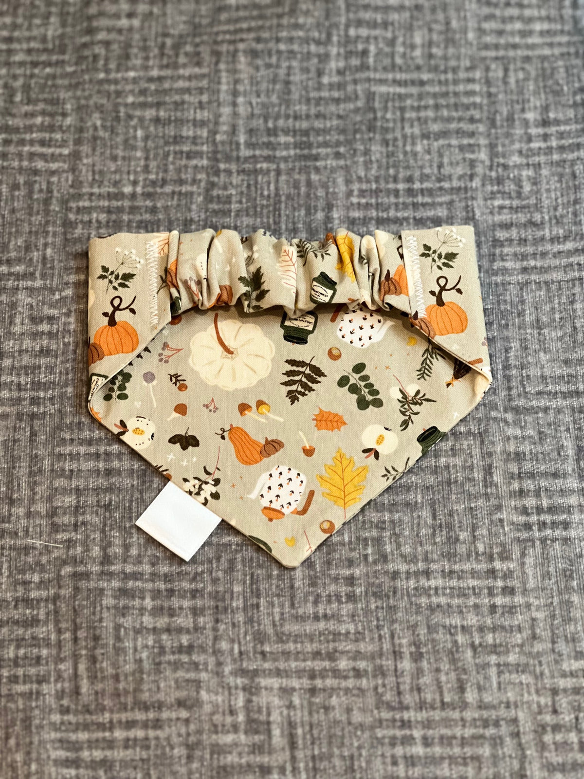 Pumpkin Patch Botanicals Scrunchie Doggy Bandana